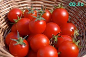 ca-chua-tomato-jio-health